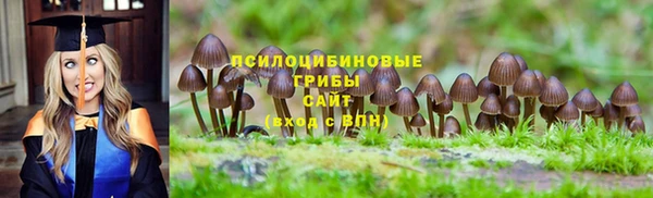 амфетамин Няндома