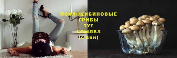 амфетамин Няндома