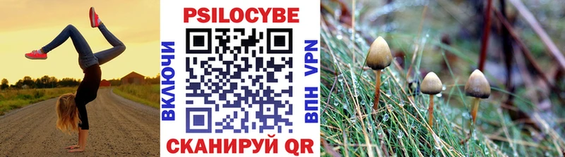 магазин продажи   Куса  Псилоцибиновые грибы Magic Shrooms 